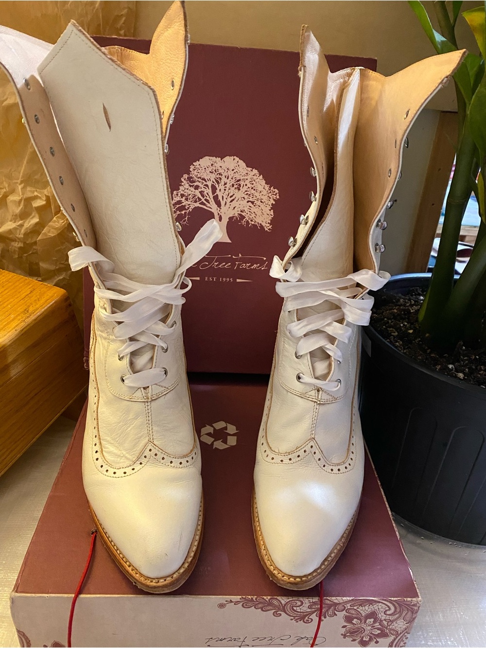 Women's Ivory Lace-Up Wingtip Boots